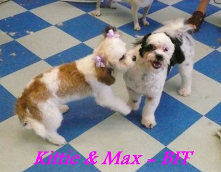 Kittie & Max